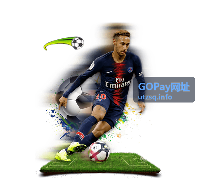 GOPay网址本地化支付方式